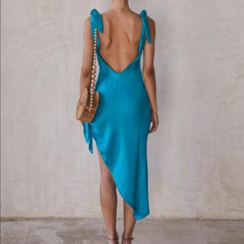 Cult Gaia Delilah backless dress SOLD OUT
